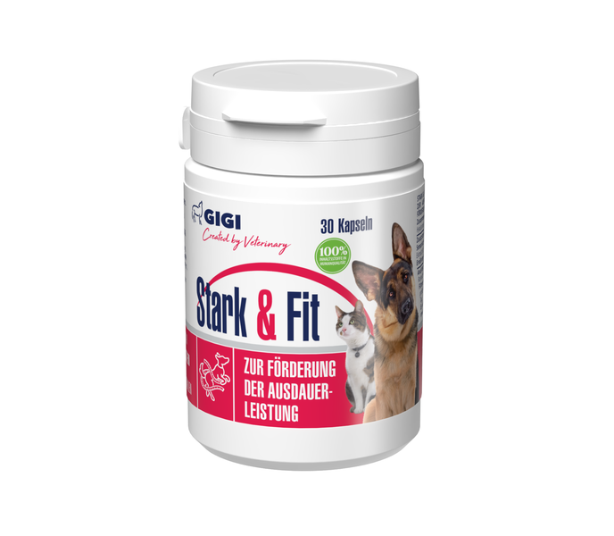 GIGI Stark & Fit 30 Kapseln zur Förderung der Ausdauerleistung für Hunde und Katzen