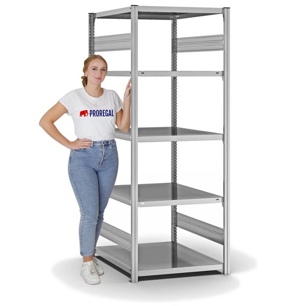PROREGAL Fachbodenregal Stecksystem T-Profil Medium-Duty Grundregal HxBxT 200 x 75 x 80 cm 5 Ebenen Fachlast 230 kg Beidseitig Nutzbar Verzinkt