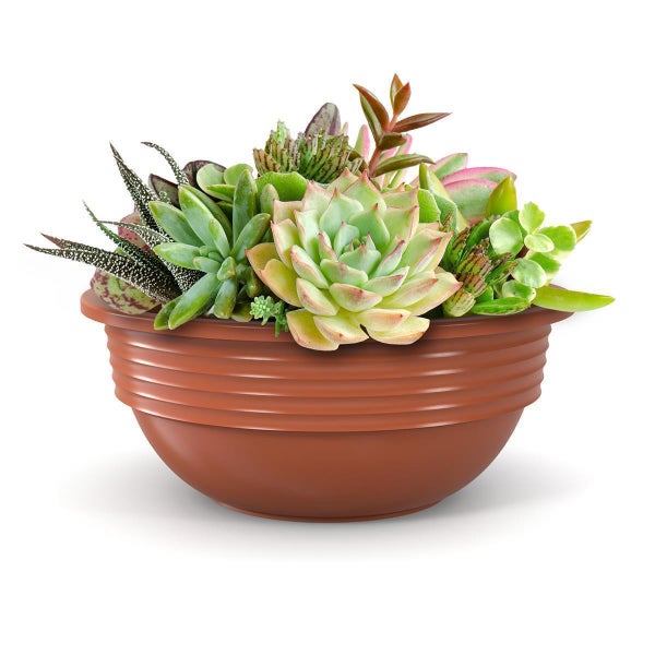 Plastard Blumenschale Terrakotta Ø 45 cm Pflanzschale Schale