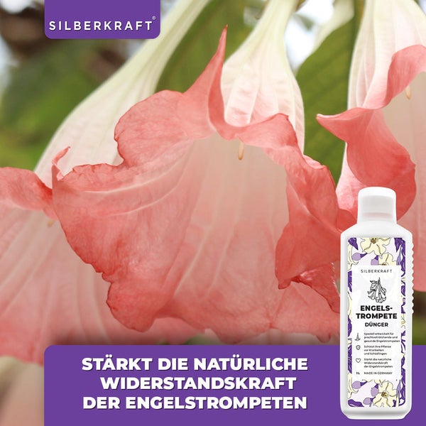 SILBERKRAFT Engelstrompete Dünger – Für prachtvolle Blüten – 1 Liter