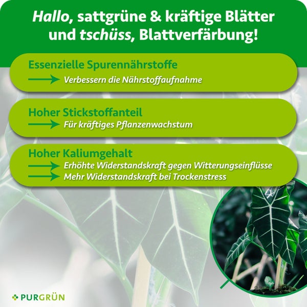 Produktinformation Purgrün Pflanzendünger mit Spurennährstoffen, Stickstoff und Kalium für gesundes Blattwachstum und Widerstandskraft gegen Stress.