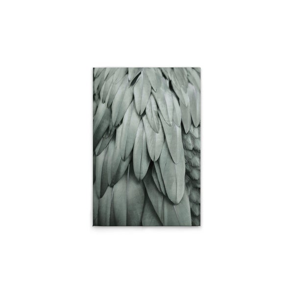 Nahaufnahme eines Wandbildes mit Federn