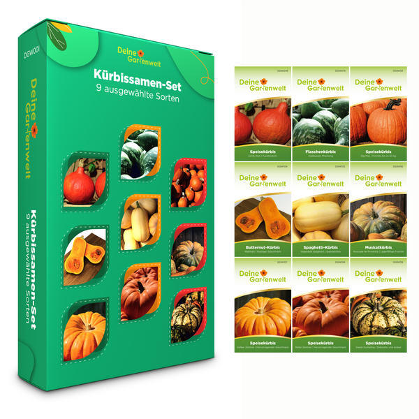 Kürbissamen-Set Deine Gartenwelt mit neun ausgewählten Sorten in Einzelverpackungen, darunter Butternut, Muskat und Speisekürbisse.