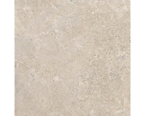 Wand- und Bodenfliese Jurassic beige 60x60 cm