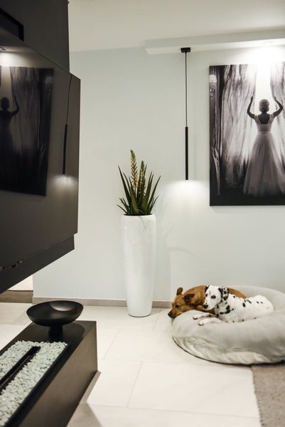 Modernes Wohnzimmer mit großer weißer Bodenvase, Grünpflanze, schwarzer Pendelleuchte und Hunden in einem Hundebett auf hellem Fliesenboden.