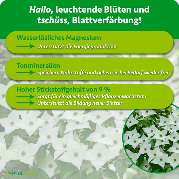 Infografik mit Vorteilen von Purgrün Pflanzendünger für Blühpflanzen mit Informationen zu Magnesium, Tonmineralien und Stickstoffgehalt.