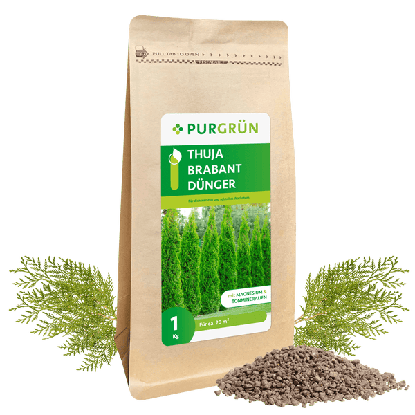 Purgrün Thuja-Brabant-Dünger 1 kg