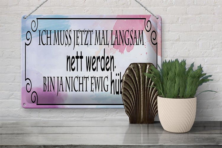 Blechschild Spruch 30x20cm ich muss mal langsam nett werden