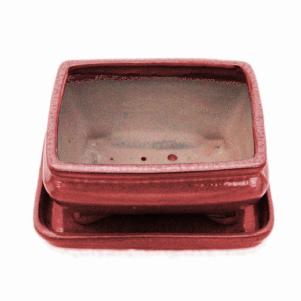 Bonsai-Schale mit Unterteller Gr. 2 - Rot - rechteckig - Modell G81 - L 14,5cm - B 11,3cm - H 6,6cm