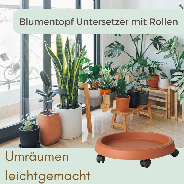 Blumenuntersetzer mit Rollen in einem hellen Raum mit Pflanzen
