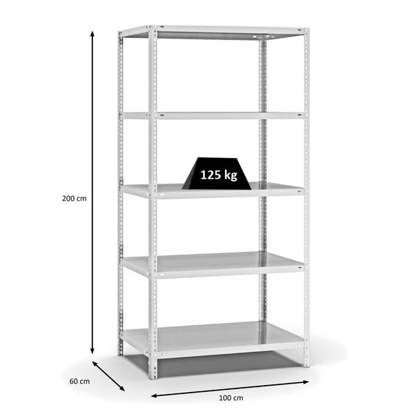 PROREGAL Fachbodenregal Schraubsystem Light-Duty Grundregal HxBxT 200 x 100 x 60 cm 5 Ebenen Fachlast 125 kg Beidseitig Nutzbar Lichtgrau