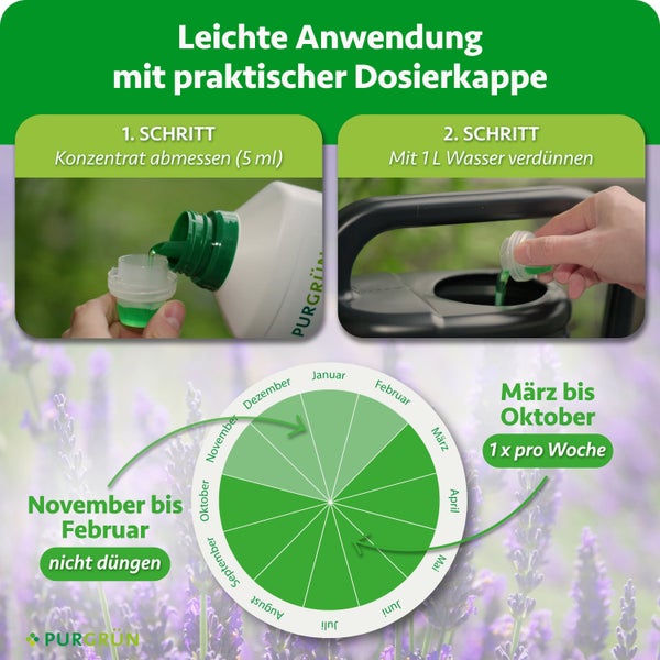 Infografik zur Anwendung von Purgrün Flüssigdünger mit Dosieranleitung und Düngekalender für die Monate März bis Oktober.