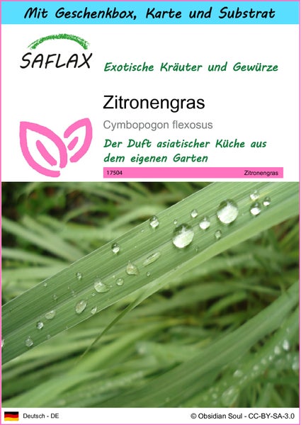 SAFLAX Geschenk Set - Zitronengras - Cymbopogon flexosus - 50 Samen - Mit Geschenkbox, Versandaufkleber, Geschenkkarte und Anzuchtsubstrat