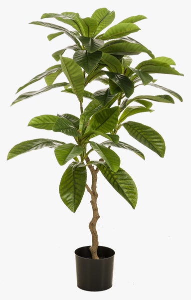 Künstliche Buchsbaum-Pyramide im schwarzen Kunststofftopf.