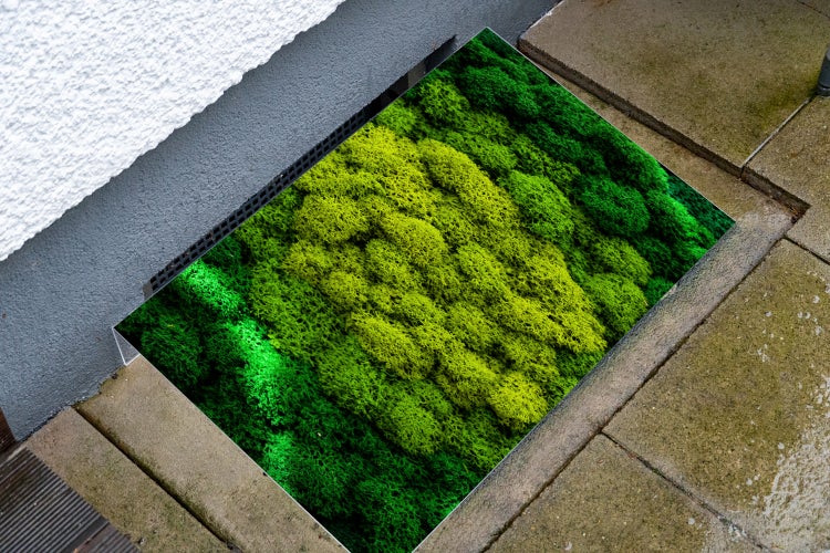 Lichtschachtabdeckung aus Acryl | Kellerschacht-Abdeckung | Schneeschutz | Regenschutz | Schutz gegen Schmutz, Schimmel, Laub und Schnee | Moos | Grün | Abdeckung | Dekorativ mit Motiv 110x45 cm