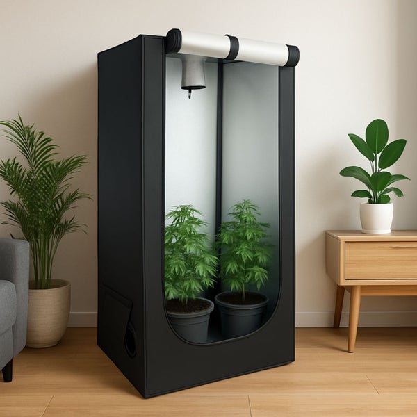 Schwarzes Indoor-Growzelt mit reflektierender silberner Innenseite, zwei grünen Pflanzen in Töpfen, platziert in einem hellen, modernen Wohnraum.