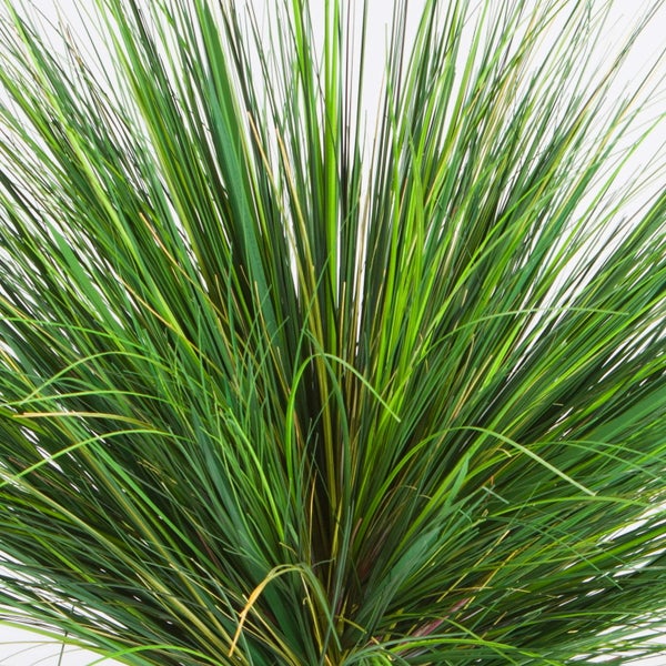 Grüne Kunststoff-Pflanzenstiele mit einer Aufhängeschlaufe aus Juteseil.