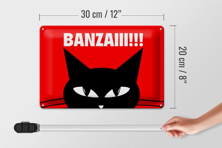 Blechschild Spruch 30x20cm Katze Banzaiii