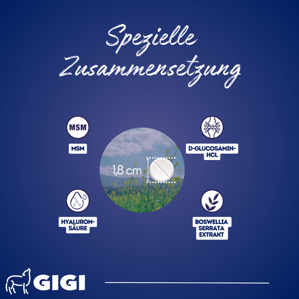 Zusammensetzung mit MSM, D-Glucosamin HCL, Hyaluronsäure und Boswellia Serrata Extrakt