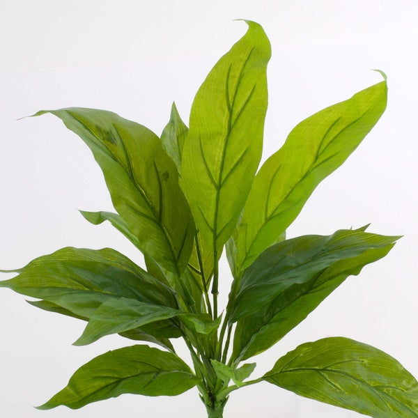 Künstliche grüne Blätter einer Spathiphyllum-Pflanze für die Dekoration.