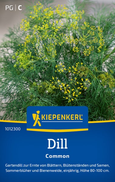 Kiepenkerl Saatgut Dill Common zur Ernte von Blaettern Bluetenstaenden und Samen einjaehrige Gartenpflanze 80 bis 100 Zentimeter Wuchshoehe