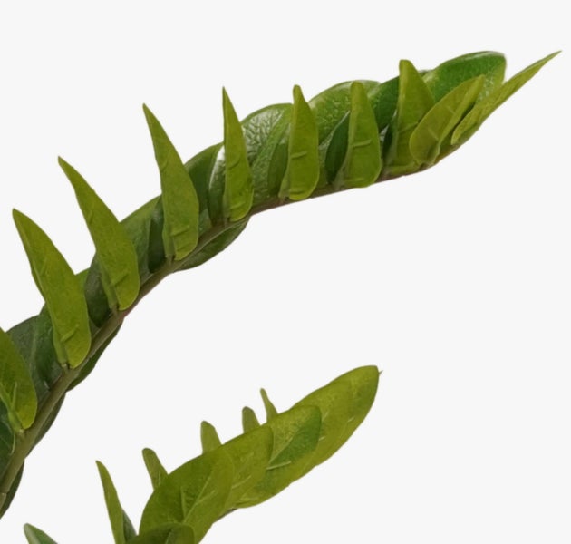 Nahaufnahme eines künstlichen Kiefernzweigs mit langen grünen Nadeln und einem braunen strukturierten Stiel.