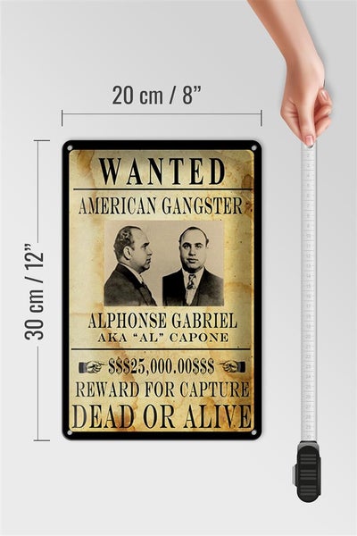 Blechschild Spruch 20x30cm wanted Alphonse Gabriel american
