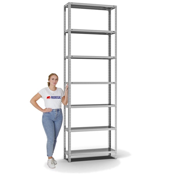 PROREGAL Fachbodenregal Schraubsystem Heavy-Duty Grundregal HxBxT 300 x 100 x 30 cm 7 Ebenen Fachlast 350 kg Beidseitig Nutzbar Verzinkt