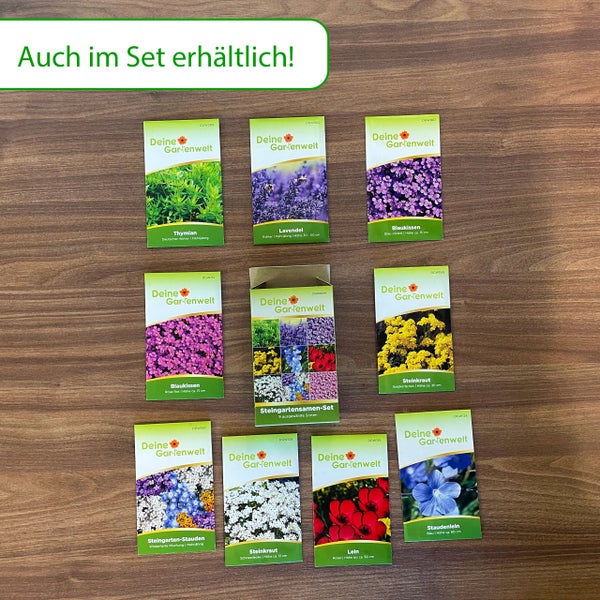 Samen-Set für Steingärten von Deine Gartenwelt Logo mit Samentüten für Thymian, Lavendel, Blaukissen, Steinkraut und Lein, auch im Set erhältlich.