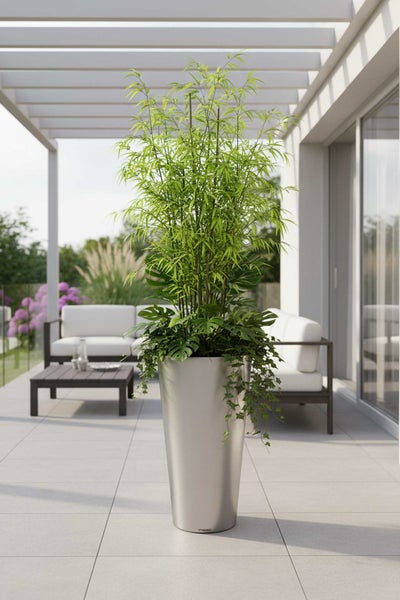 Hoher silberfarbener Pflanzkübel mit Bambus, Monstera und Efeu auf einer modernen, hellen Terrasse mit Pergola und Gartenmöbeln.