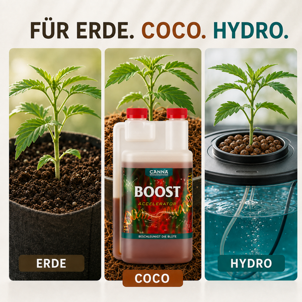 Canna Boost Accelerator Blütebeschleuniger für Pflanzen in Erde, Kokossubstrat und Hydrokulturen in einer Kunststoffflasche mit rotem Verschluss.
