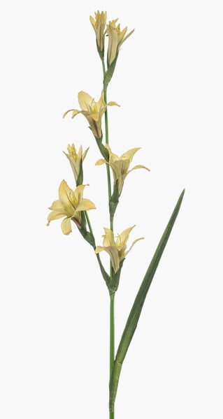 Botanische Tapete mit herabhängenden Weidenblättern in Grün.