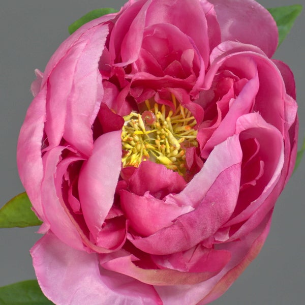 Künstliche Pfingstrose in Pink mit geschichteten Textilblütenblättern und gelben Staubblättern.