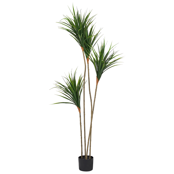 Künstliche Dracaena Pflanze mit drei unterschiedlich hohen Stämmen und spitzen grünen Blättern im schwarzen Topf.