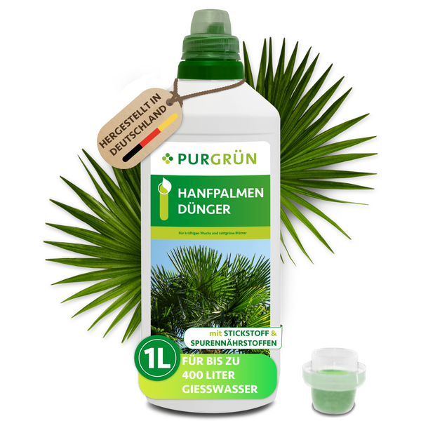 Eine Flasche Purgrün Hanfpalmen Dünger mit einem Liter Inhalt, geeignet für vierhundert Liter Gießwasser, hergestellt in Deutschland.