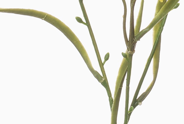 Künstliche Ruhmeskrone Gloriosa mit grünem Stiel, Blättern und einer Blüte in Rosa und Gelb.