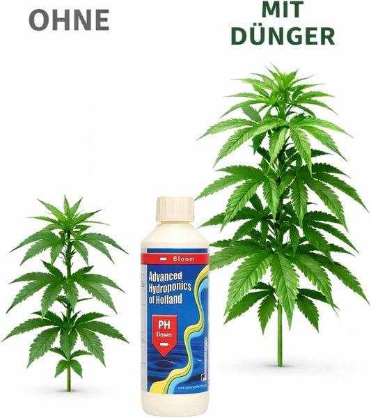 Vergleich von Pflanzenwachstum ohne Dünger und mit Dünger neben einer Flasche Advanced Hydroponics pH Down Bloom.