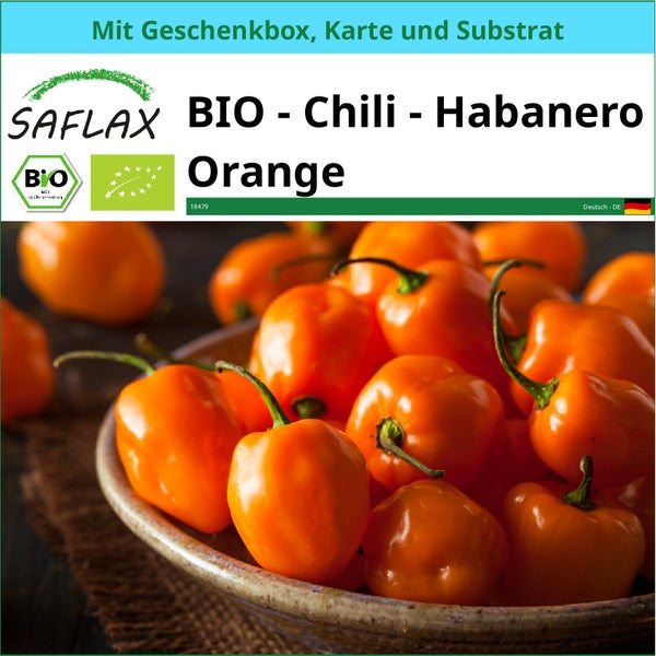 SAFLAX Geschenk Set - BIO - Chili - Habanero Orange - Capsicum annuum - 20 Samen - Mit Geschenkbox, Versandaufkleber, Geschenkkarte und Anzuchtsubstrat