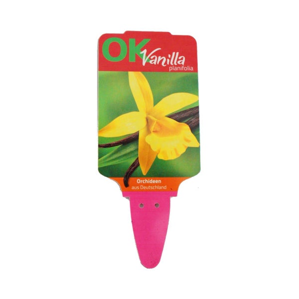 Quadratischer Gartentisch aus Holz