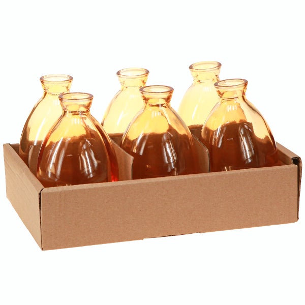 Sechs dekorative Vasen aus Glas in einem Karton