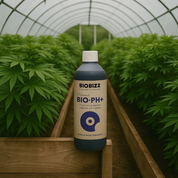 Biobizz Bio-PH plus Flasche auf einem Pflanzkasten aus Holz in einem hellen Gewächshaus mit Pflanzenreihen.