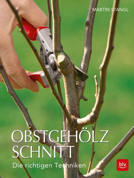 Obstgehölzschnitt Die richtigen Techniken