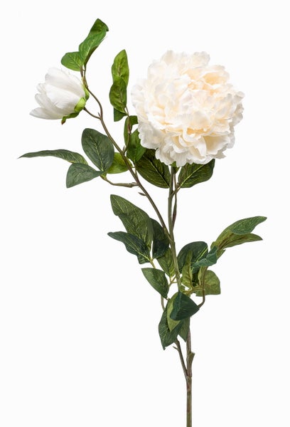 Künstliche Pfingstrose am Zweig mit einer großen cremeweißen Blüte, einer Knospe und grünen Blättern.