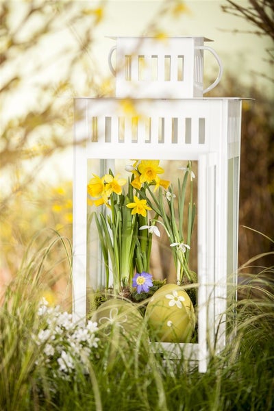 Dekoratives Windlicht mit Osterdekoration und Frühlingsblumen