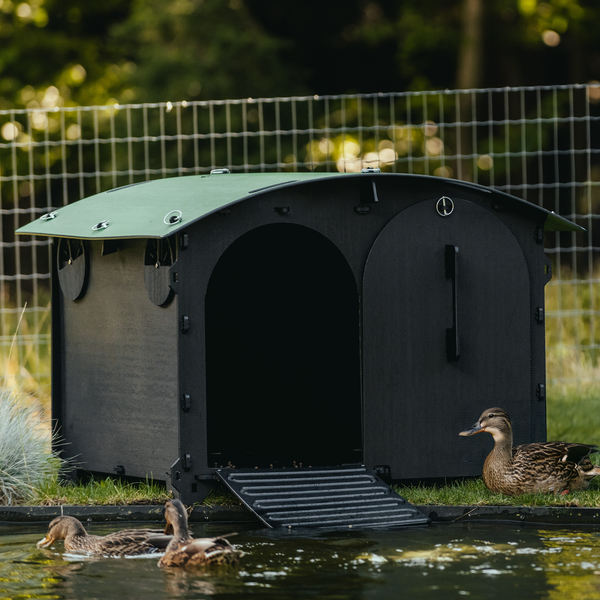 Entenstall | Einfache Reinigung | 25 Jahre Garantie