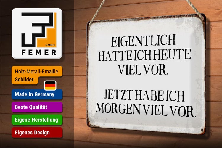 Blechschild Spruch 30x20cm eigentlich hatte heute viel vor
