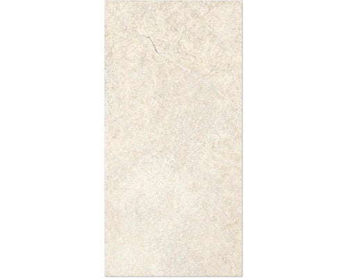 Wand- und Bodenfliese Alchemy Earth 60x120 cm