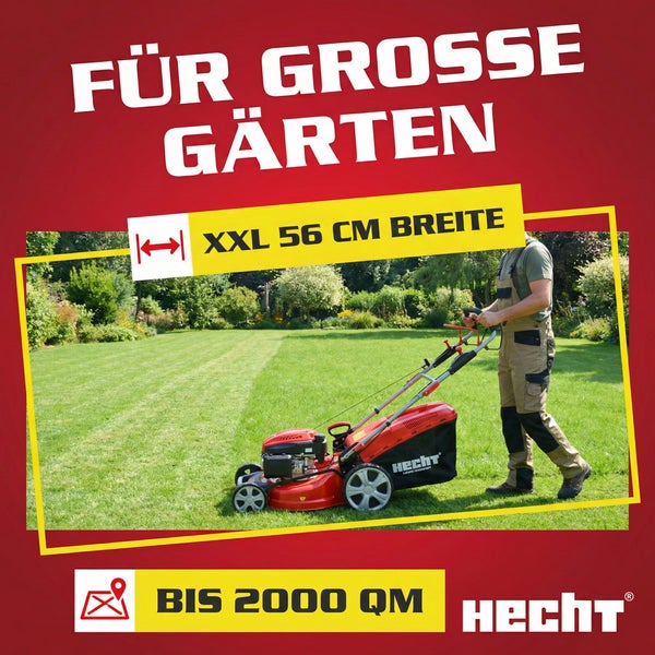 Benzin-Rasenmäher von Hecht auf großem Rasen. Schnittbreite 56 Zentimeter, für Flächen bis 2000 Quadratmeter. Hecht Logo.