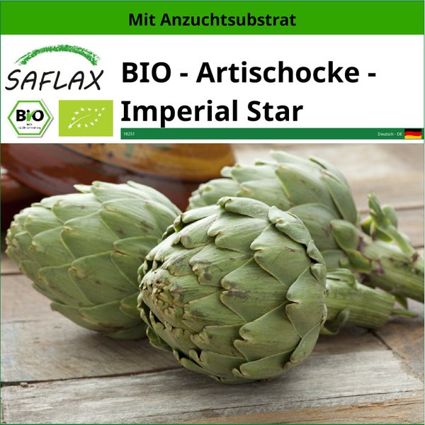 SAFLAX  - BIO - Artischocke - Imperial Star - Cynara scolymus - 5 Samen - Mit keimfreiem Anzuchtsubstrat