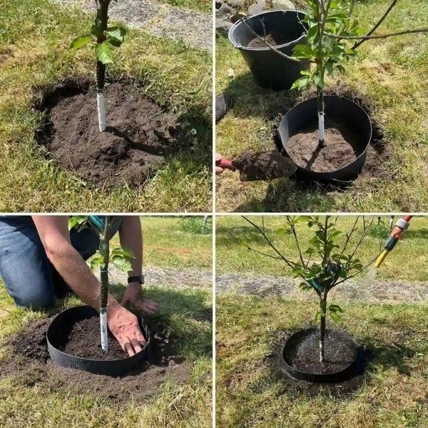 Schritt-für-Schritt-Anleitung zur Installation einer Baumwurzelsperre aus Kunststoff um einen jungen Baum im Garten
